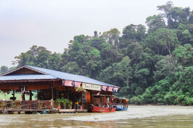 Jungle en Malaisie en famille - Taman Negara